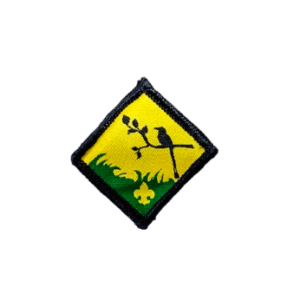 Aventura guardabosques