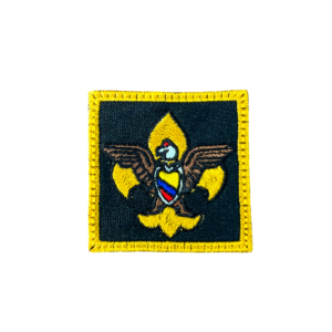 Scout Cóndor